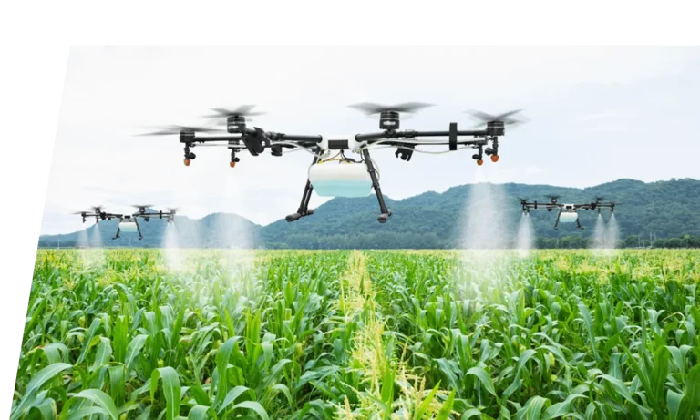 Agriculture